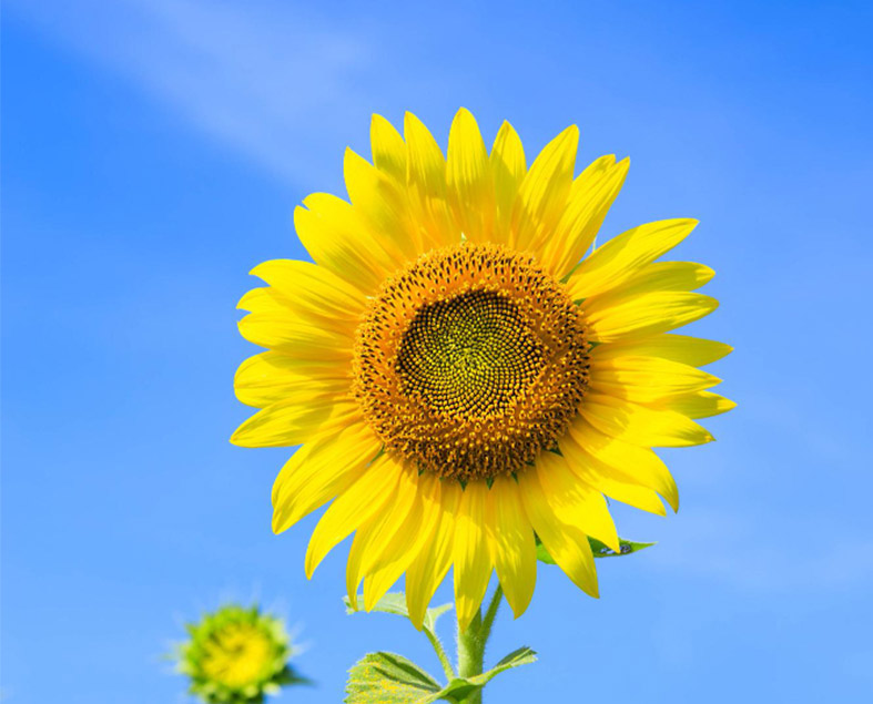 start-a-fundraising-campaign